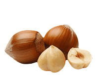 Hazelnut